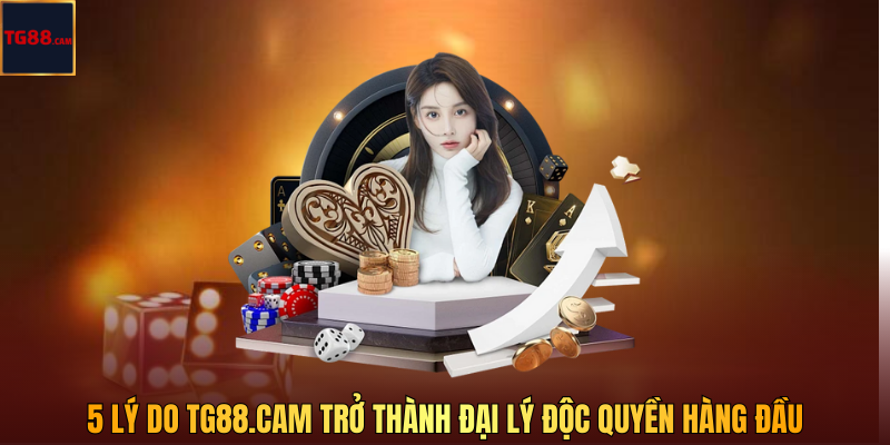 hinh-anh-5-ly-do-giup-tg88cam-tro-thanh-dai-ly-doc-quyen-tg88-tai-viet-nam-5469-3
