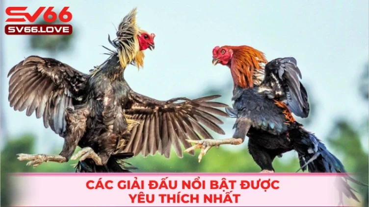 hinh-anh-da-ga-sv66--trai-nghiem-truong-ga-that-ngay-tren-man-hinh-4654-1