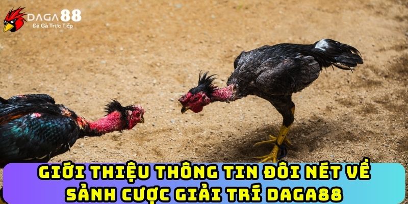 hinh-anh-huong-dn-chi-tiet-cach-dang-ky-tai-khoan-daga88-moi-nhat-2025-4261-0
