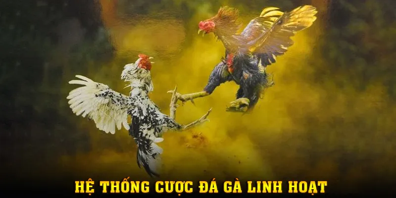 hinh-anh-trai-nghiem-dinh-cao-voi-da-ga-mm88--giai-tri-kich-tinh-thang-thuong-khung-4793-1