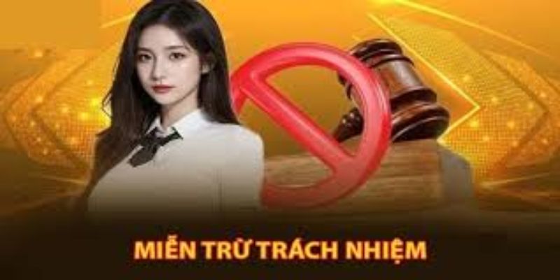 hinh-anh-mien-tru-trach-nhiem-rwin--vai-tro-trong-bao-ve-quyen-loi-4068-2