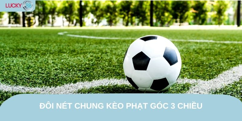 hinh-anh-tim-hieu-keo-phat-goc-3-chieu-lucky88--keo-phu-nhung-an-dam-4636-1