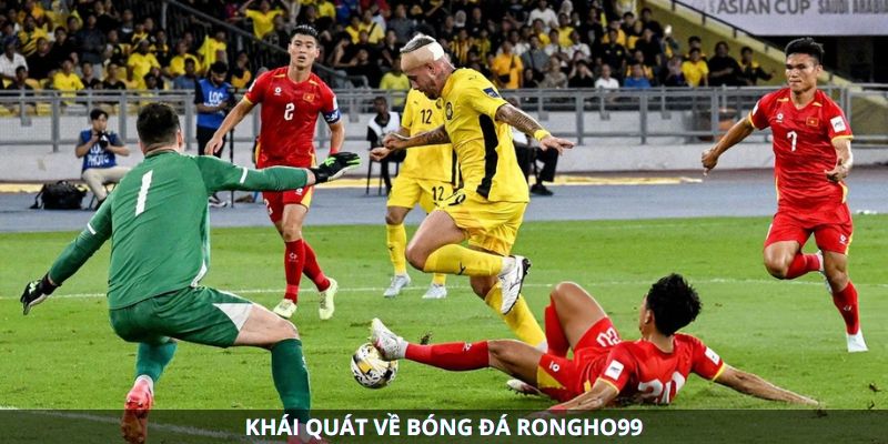 hinh-anh-bong-da-rongho99--the-gioi-keo-cuoc-da-dang-cho-moi-bet-thu-4931-0