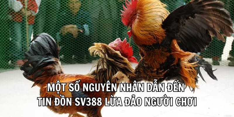 hinh-anh-sv388-co-lua-dao-khong-review-tu-nguoi-choi-thuc-te-4262-2