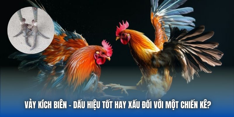 hinh-anh-nha-cai-uy-tin-hang-dau-chau-a-88clb-dang-tin-cay-4164-1