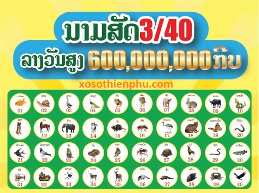 hinh-anh-choi-xo-so-lao--huong-dn-chi-tiet-va-bi-quyet-danh-cho-nguoi-moi-bat-dau-4003-0