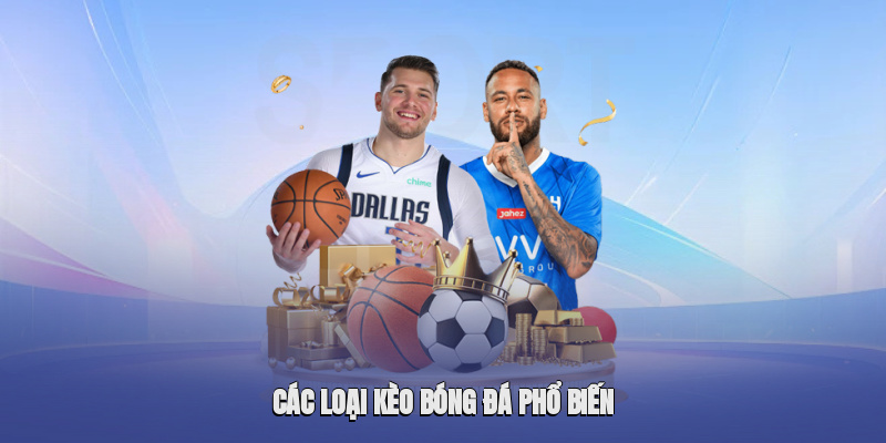 hinh-anh-ty-le-keo--cap-nhat-chinh-xac-va-phan-tich-hieu-qua-5042-2