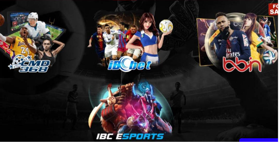 hinh-anh-the-thao-typhu88-tren-di-dong-muot-ma-gon-nhe-bat-keo-o-moi-noi-4742-2