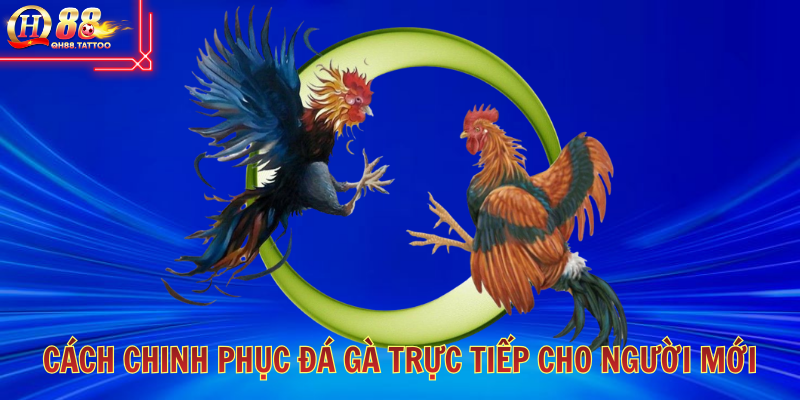 hinh-anh-da-ga-truc-tiep-thoa-man-voi-nhung-tran-dau-mau-lua-5486-2