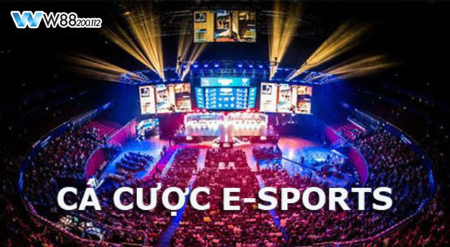 hinh-anh-ca-cuoc-esport-bi-quyet-dau-tu-thang-lon-cho-nguoi-moi-bat-dau-2390-0