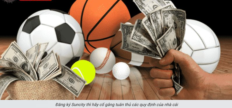 hinh-anh-dang-ky-suncity-trong-vai-phut-voi-huong-dn-chi-tiet-cho-nguoi-moi-5009-2