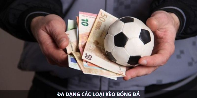 hinh-anh-bong-da-rongho99--the-gioi-keo-cuoc-da-dang-cho-moi-bet-thu-4931-2