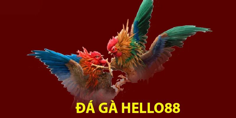 hinh-anh-da-ga-hello88--tran-chien-cua-ban-linh-va-toc-do-5081-0