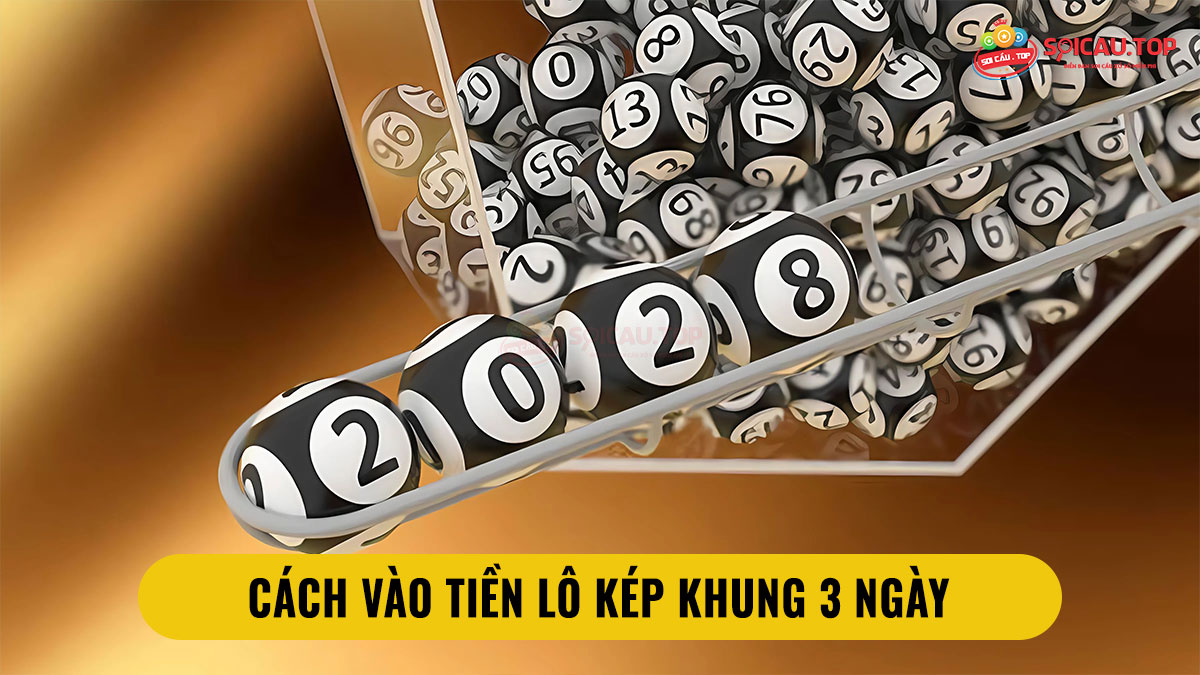 hinh-anh-lo-kep-khung-3-ngay--chien-luoc-bat-lo-hieu-qua-cho-nguoi-choi-lau-nam-4914-2