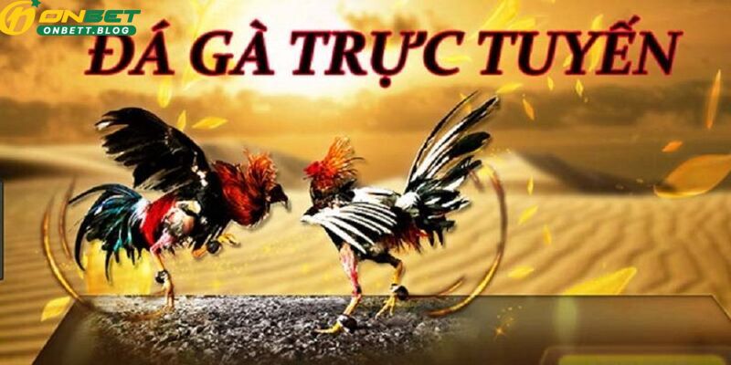 hinh-anh-da-ga-onbet-tan-huong-su-man-nhan-cua-man-so-tai-dinh-cao-4383-1