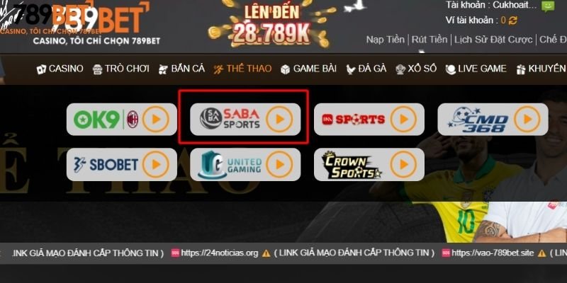 hinh-anh-saba-sports-789bet--noi-hoi-tu-cua-the-thao-chien-thuat-va-cam-xuc-4659-0