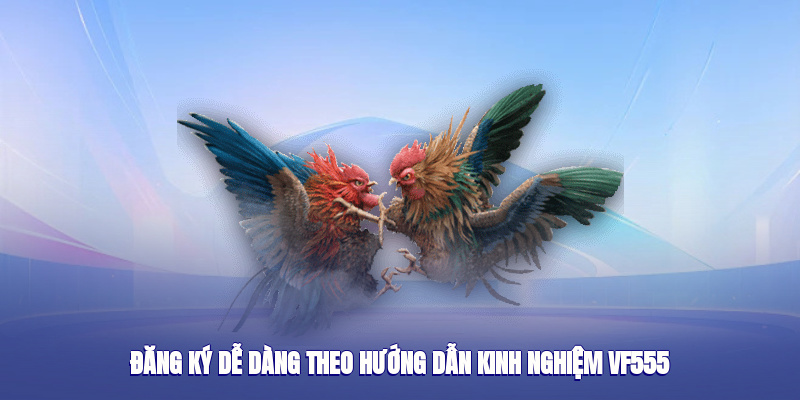 hinh-anh-kinh-nghiem-vf555--chuyen-muc-huu-ich-voi-moi-linh-moi-4797-1