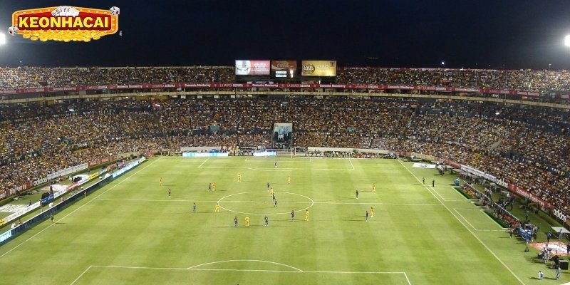 hinh-anh-keo-nha-cai-trong-tam-tay-toi-uu-loi-nhuan-ca-cuoc-4644-0