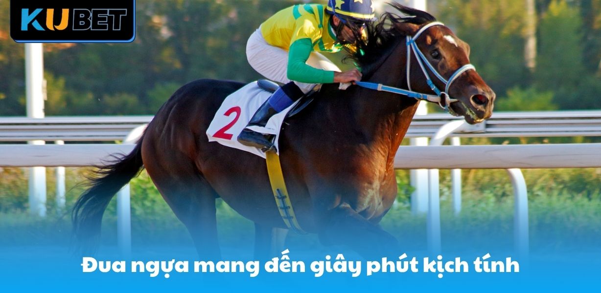 hinh-anh-the-thao-tai-trang-fr8896-vo-san-hinh-thuc-ca-cuoc-dinh-cao-5125-3