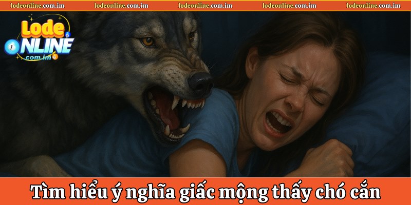hinh-anh-giai-ma-giac-mo-y-nghia-huyen-bi-an-dau-va-diem-bao-4111-2
