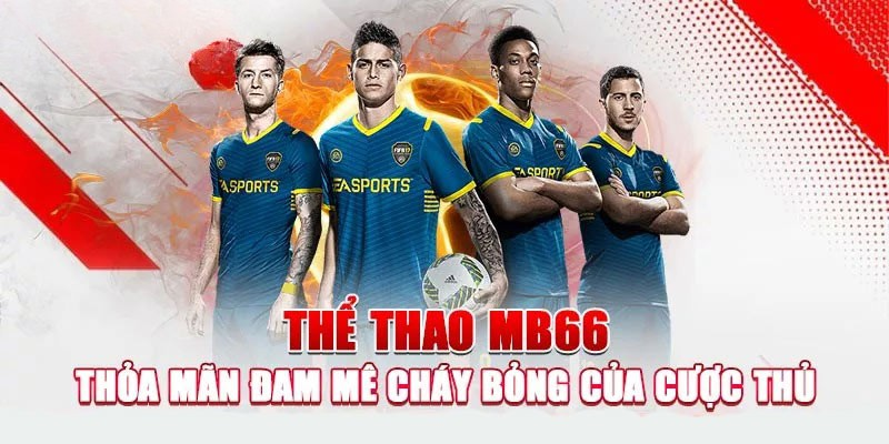 hinh-anh-trai-nghiem-ca-cuoc-the-thao-mb66--san-choi-dinh-cao-cho-nguoi-ham-mo-bong-da-va-hon-the-nua-4799-0