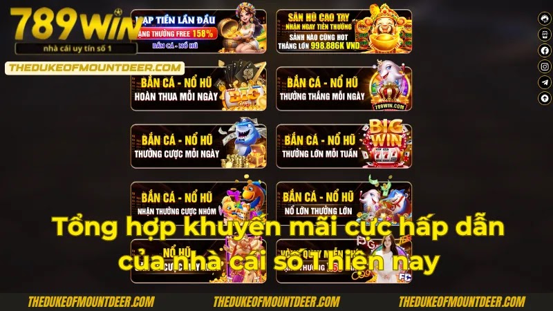 hinh-anh-789win-su-lua-chon-tuyet-voi-danh-cho-bet-thu-2025-2107-4