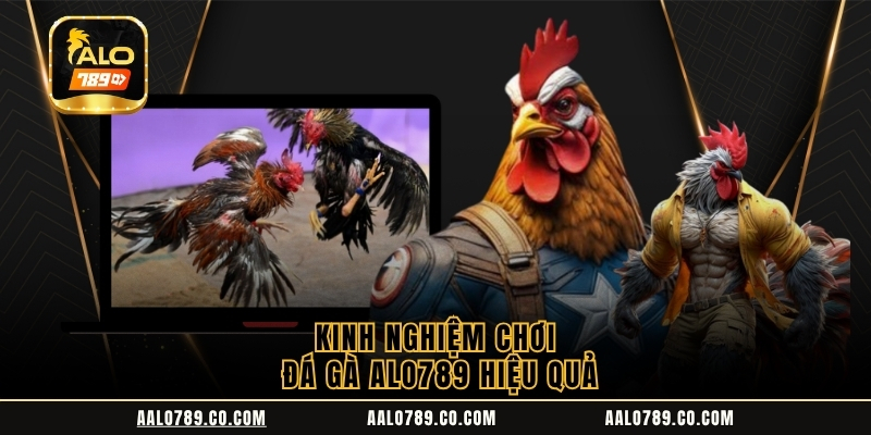 hinh-anh-da-ga-alo789--sanh-cuoc-ga-chien-chuan-quoc-te-cho-bet-thu-5180-2