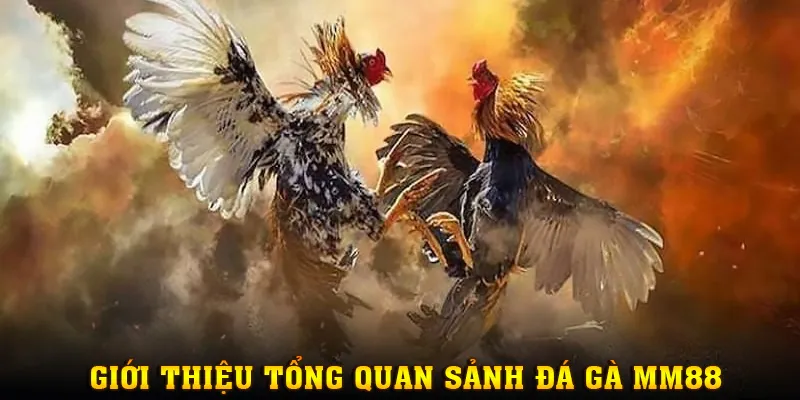 hinh-anh-trai-nghiem-dinh-cao-voi-da-ga-mm88--giai-tri-kich-tinh-thang-thuong-khung-4793-0