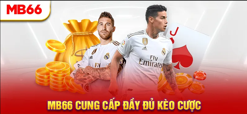 hinh-anh-trai-nghiem-ca-cuoc-the-thao-mb66--san-choi-dinh-cao-cho-nguoi-ham-mo-bong-da-va-hon-the-nua-4799-1