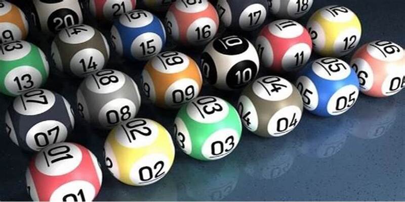 hinh-anh-rong-bach-kim-bi-kip-vang-cho-cuoc-thu-khong-the-bo-lo-4876-2